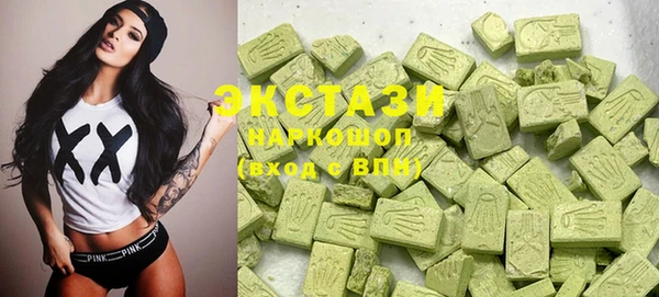 стаф Магас